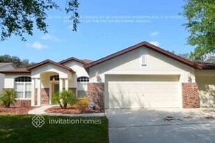 14818 Heronglen Dr in Fish Hawk, FL - Building Photo
