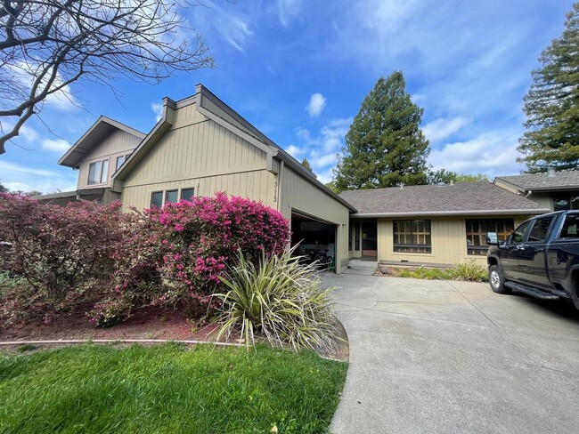 property at 3113 Lippizaner Ln