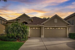 23338 Dinhurst Ct in Land O Lakes, FL - Building Photo