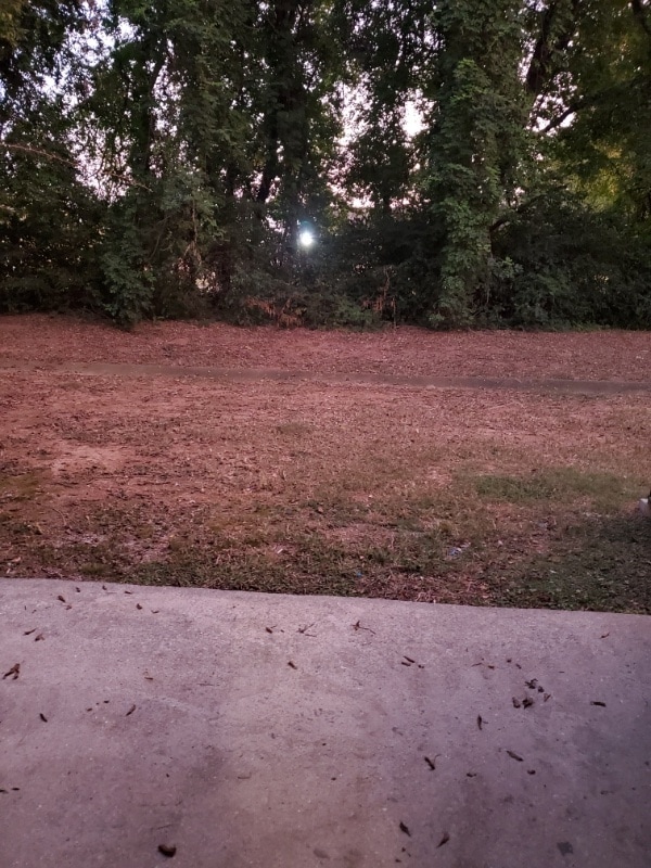 2322 Colony Dr SW in Huntsville, AL - Foto de edificio - Building Photo