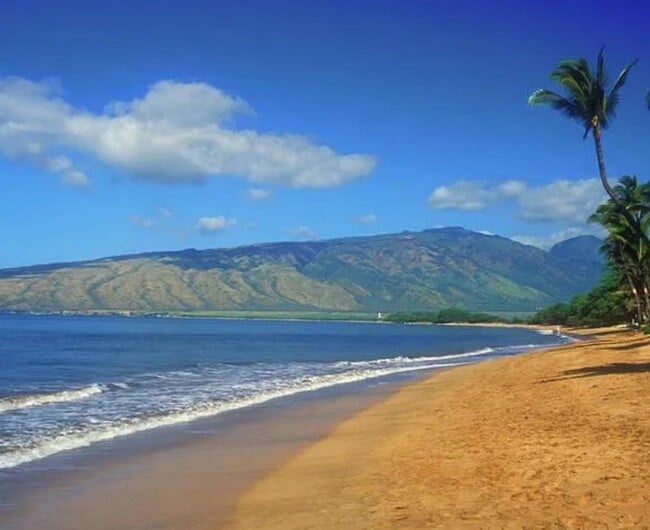 property at 15 Ohukai Rd
