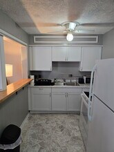 309 S Van Doren St in Champaign, IL - Building Photo - Building Photo