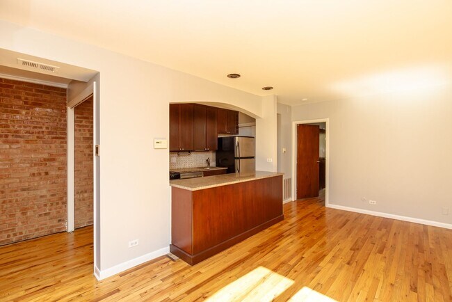 663 W Melrose St in Chicago, IL - Building Photo - Building Photo