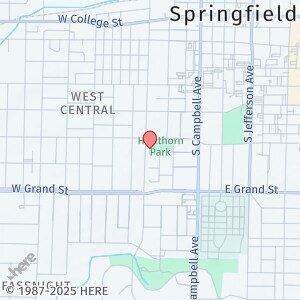 824 S Grant Ave in Springfield, MO - Building Photo