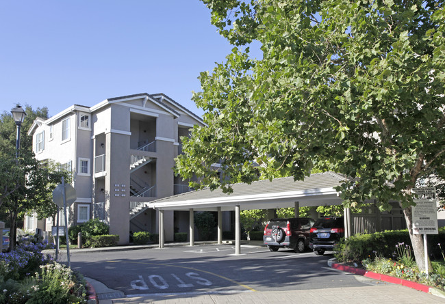 Park Place Apartments in San Ramon, CA - Building Photo - Building Photo