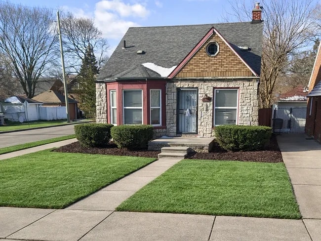 11801 Riad St in Detroit, MI - Foto de edificio - Building Photo