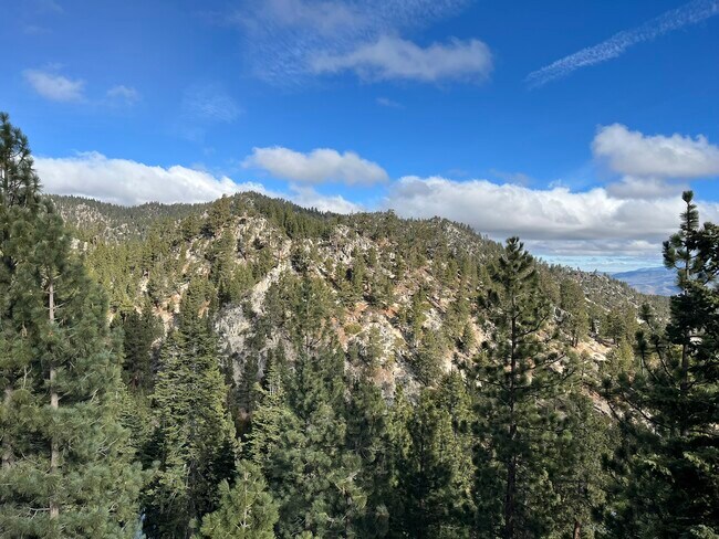 261 Quaking Aspen Ln in Stateline, NV - Building Photo - Building Photo