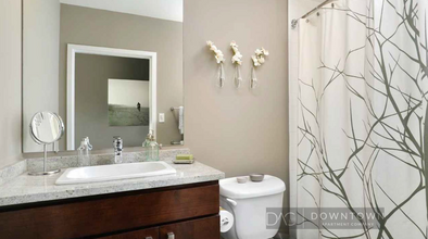 40 E Pearson St in Chicago, IL - Building Photo - Building Photo