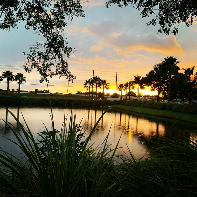 Harbour Cay