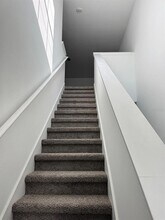 10308 Lavender Aster Trl in San Antonio, FL - Building Photo - Building Photo