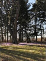 8939 Pecor St, Unit 1st floor in Portland, NY - Building Photo