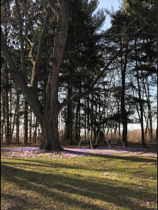 8939 Pecor St, Unit 1st floor