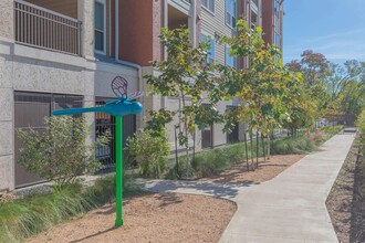 Regency Lofts in Houston, TX - Building Photo - Building Photo