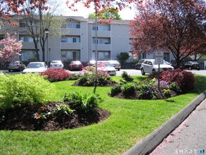 163 South St in Danbury, CT - Building Photo - Building Photo