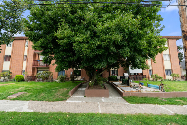 Magnolia Manor in New Westminster, BC - Building Photo - Building Photo