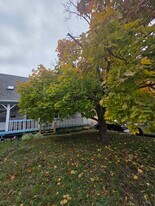 316 Pierre-Lafontaine Rue in Gatineau, QC - Building Photo