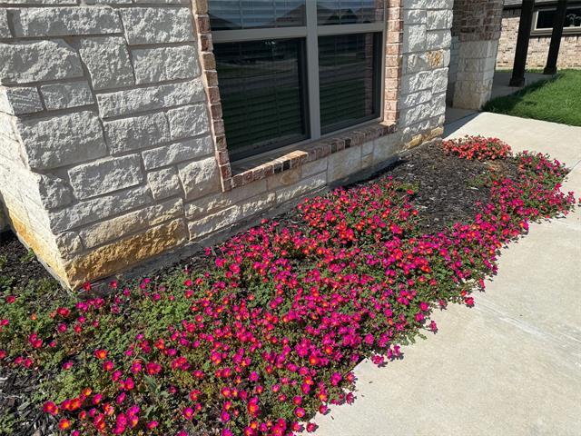 803 Mary Lee Ln in Collinsville, TX - Building Photo - Building Photo