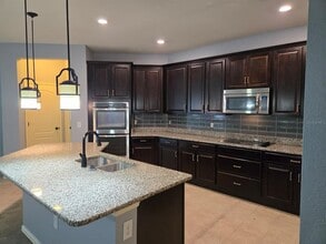 10705 Massimo Dr in Wimauma, FL - Building Photo - Building Photo