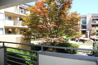 39206 Guardino Dr in Fremont, CA - Building Photo - Building Photo