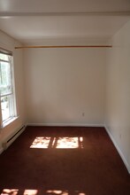 239 Elm St in Albany, NY - Building Photo - Building Photo