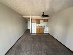 522 S Clinton St in Iowa City, IA - Building Photo - Building Photo