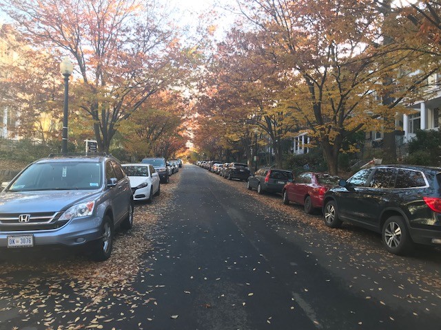 1843 Lamont St NW, Unit Basement