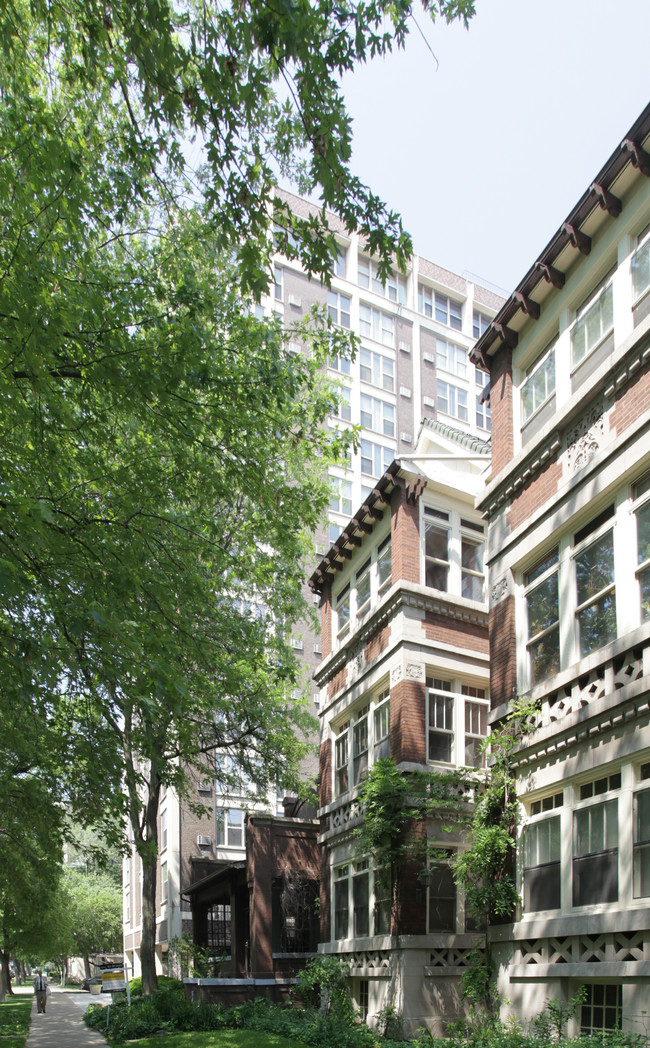 Hyde Park Condominium in Chicago, IL - Building Photo - Building Photo