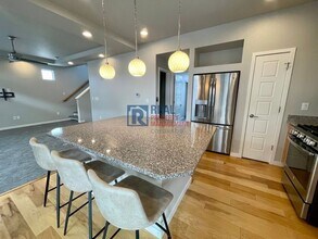 3700 Celestial Ave in Castle Rock, CO - Building Photo - Building Photo