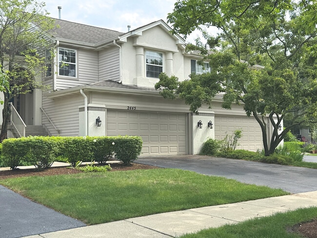 property at 2445 Palazzo Dr