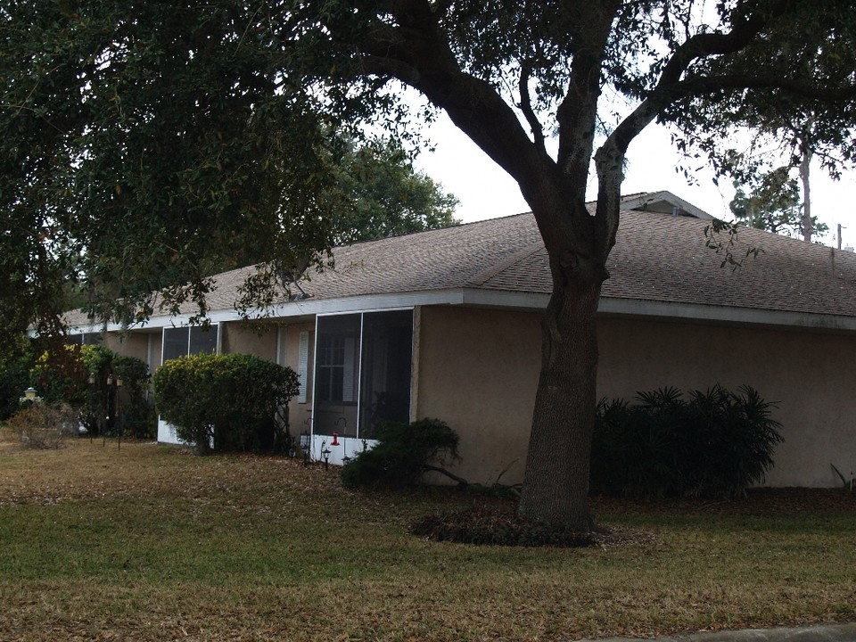 135 E Central Ave in Howey In The Hills, FL - Building Photo