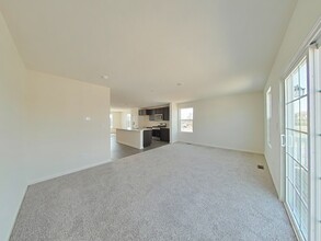 351 Bridgeview Ct in St. Charles, IL - Building Photo - Building Photo