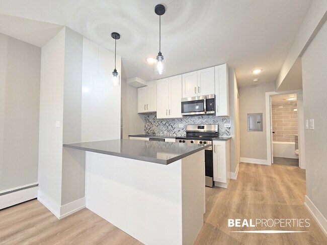 553 W Stratford Pl in Chicago, IL - Building Photo - Building Photo