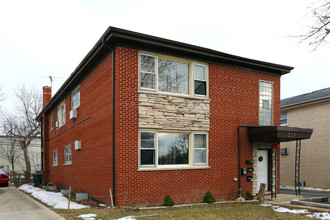 317 S Hale St in Addison, IL - Foto de edificio - Building Photo