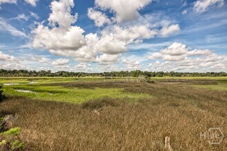 15 Egrets Nest Dr in Savannah, GA - Building Photo - Building Photo