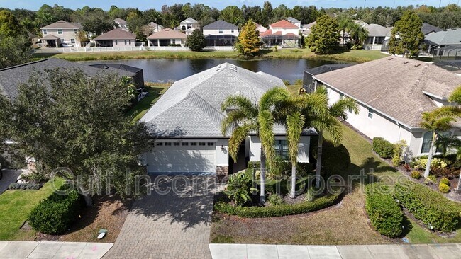 15679 Lemon Fish Dr in Lakewood Ranch, FL - Foto de edificio - Building Photo