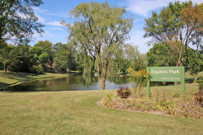 23428 Mallard Ct in Deer Park, IL - Foto de edificio - Building Photo