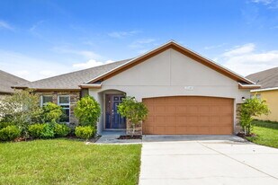 25140 Chipshot Ct in Sorrento, FL - Building Photo
