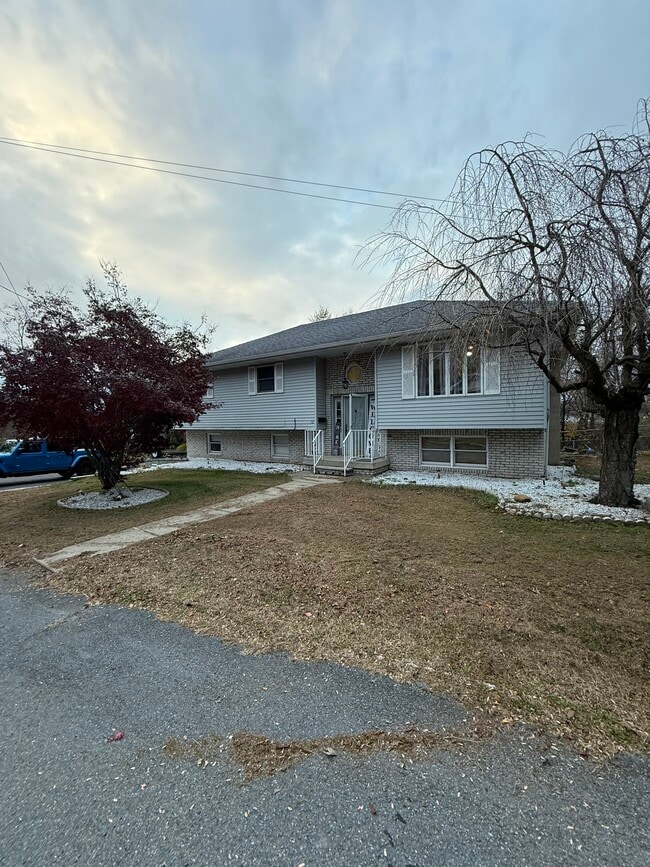 property at 10 Griffith St