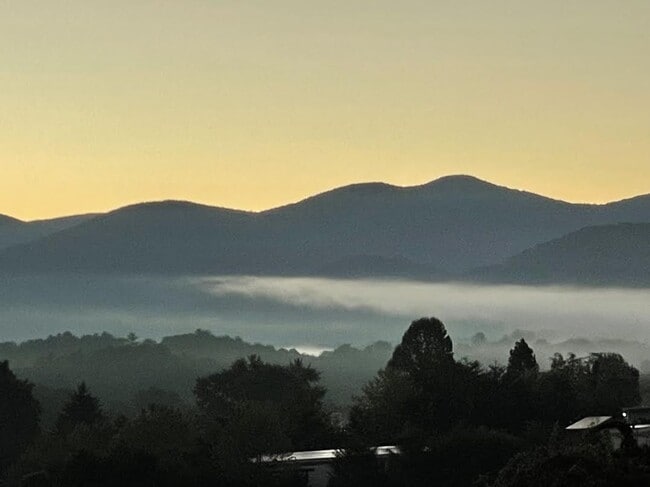 14 Loftin St in Weaverville, NC - Building Photo - Building Photo