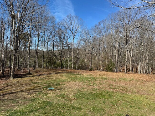 95 Amber Woods Dr in Glasgow, VA - Building Photo - Building Photo