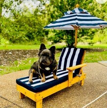 Santiago Estates in Del Valle, TX - Building Photo - Building Photo