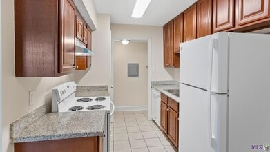 1066 Manson Dr in Baton Rouge, LA - Foto de edificio - Building Photo