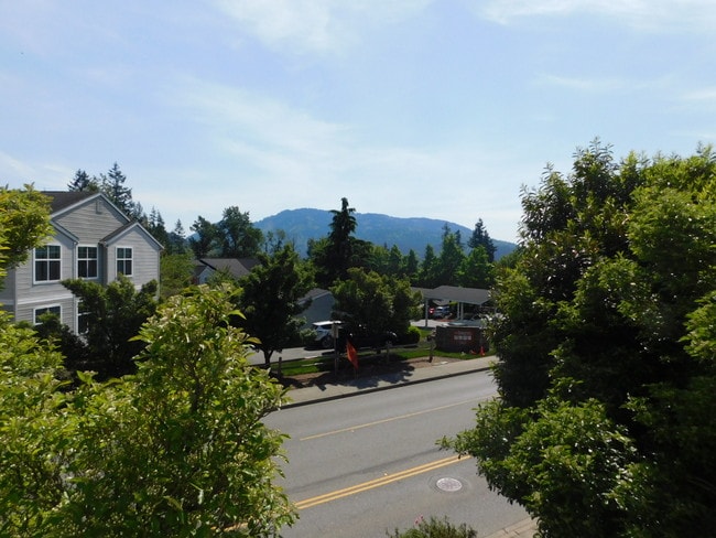 23420 SE Black Nugget Rd in Issaquah, WA - Building Photo - Building Photo