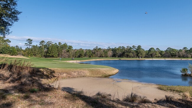 532 Blue Stem Dr, Unit SI ID1253482P in Pawleys Island, SC - Building Photo - Building Photo