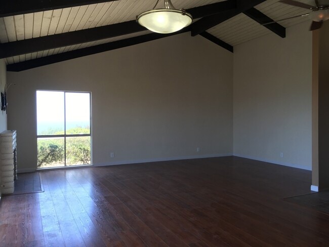 31604 Crystal Sands Dr in Laguna Beach, CA - Building Photo - Building Photo