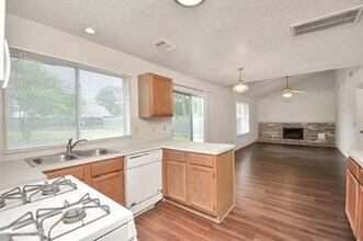17210 Colony Creek Dr in Spring, TX - Building Photo - Building Photo