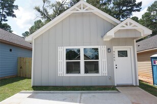 9763 Black Gum in Willis, TX - Building Photo