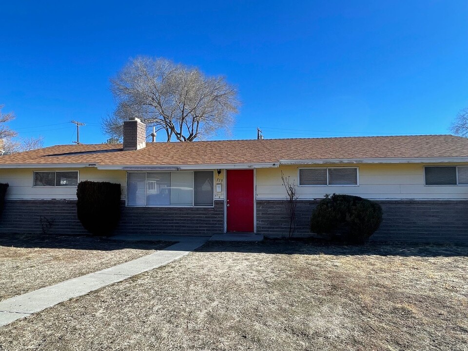 313 N Harbin Ave in Carson City, NV - Building Photo