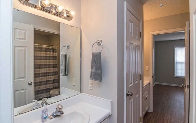 Sheridan Forest Apartments in Goldsboro, NC - Building Photo - Building Photo
