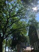 326-1 Wayne St in Highland Park, NJ - Building Photo